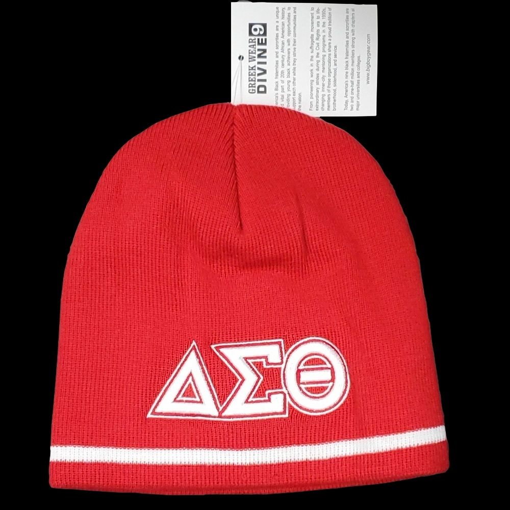 Delta Sigma Theata Beanie